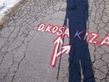 DSCN0977